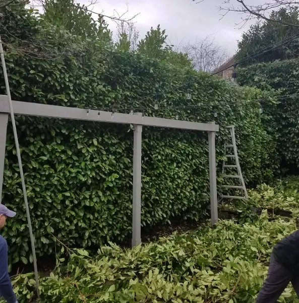 Landscape Contractor