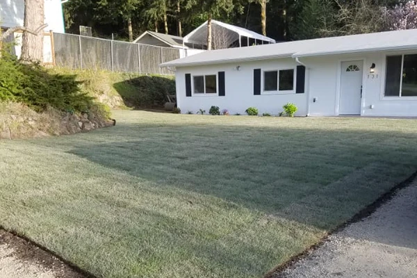 Landscape Installation