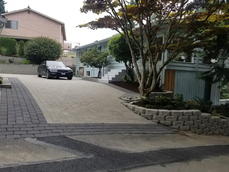 Professional Landscape Company